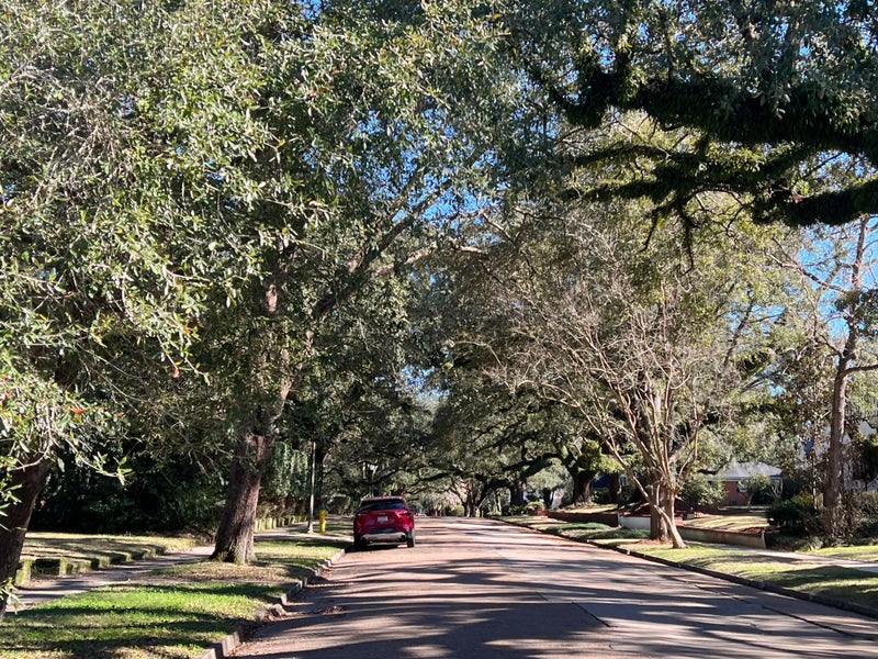 Ashland Place Mobile Alabama Homes and Real Estate for Sale